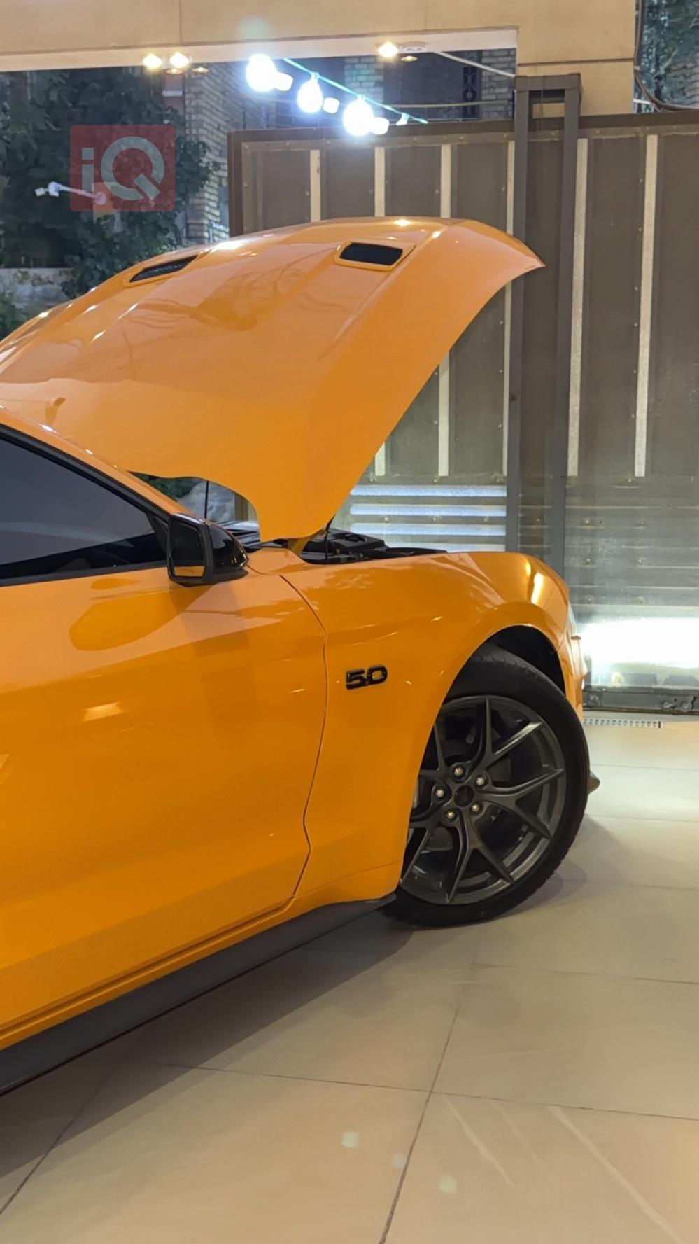 فۆرد مۆستانگ